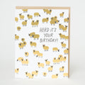 Punny Sheep Birthday Letterpress Greeting Card