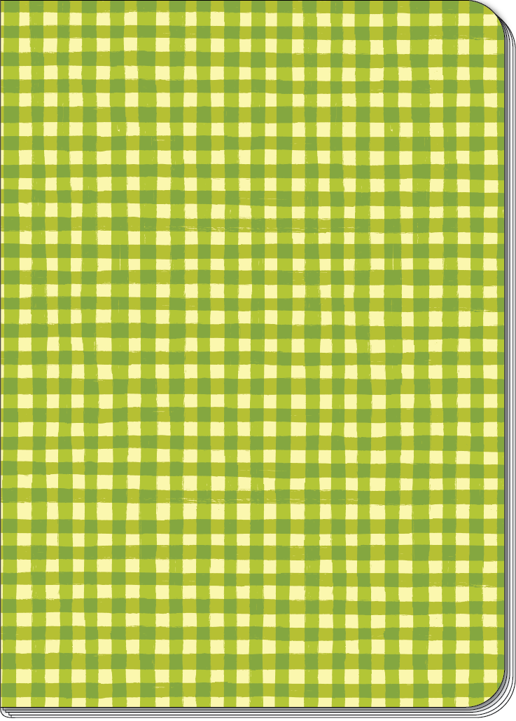 Small Green Gingham B6 Blank Notebook