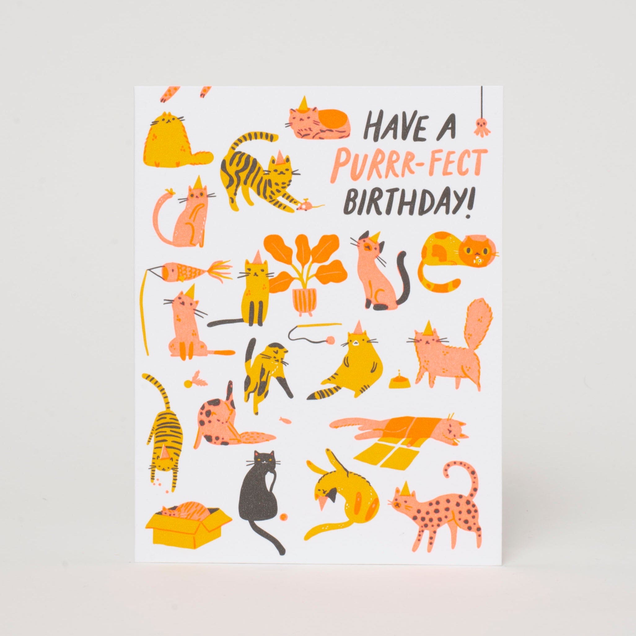 Purr-fect Cat Birthday Letterpress Greeting Card